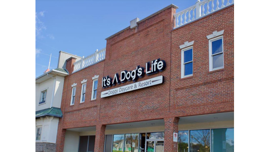 It's A Dog's Life Doggy Daycare & Resort Entrance