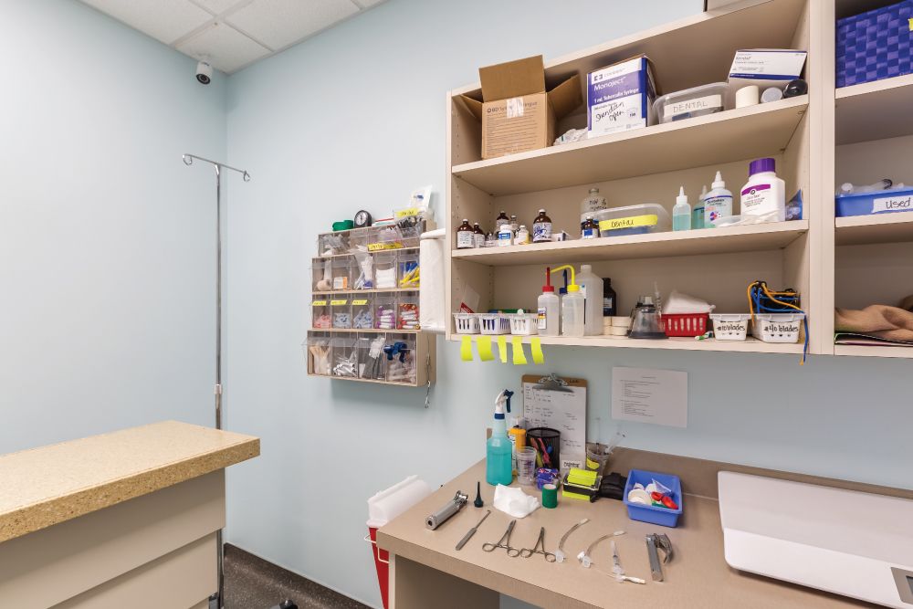 A clean veterinary examination room equipped with medical tools, a counter with instruments, wall-mounted supply shelves, an IV pole, and an exam table