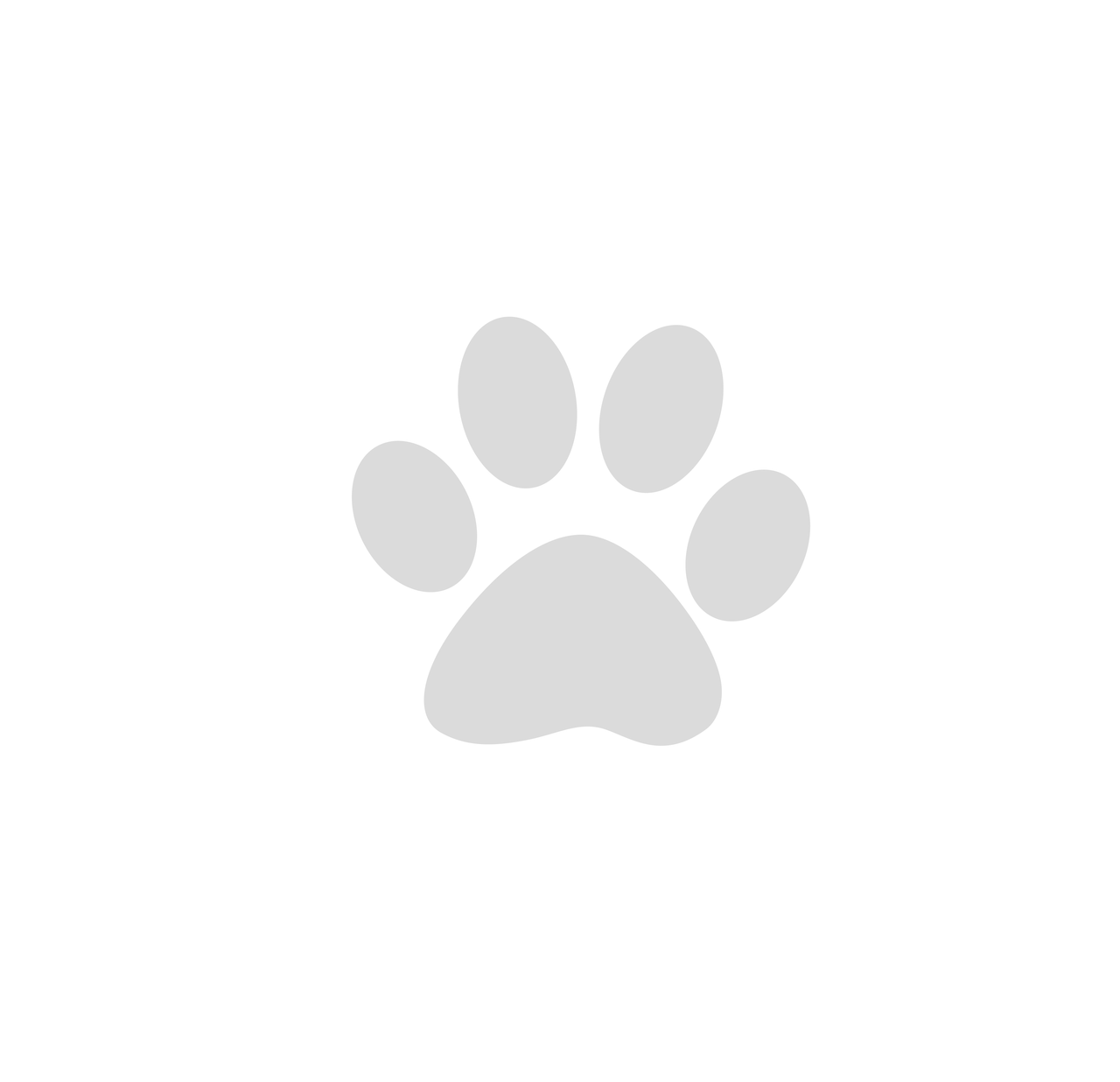 Club Canine Logo