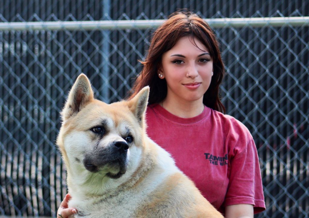 Staff member Zoe with a fluffy red and white Akita in an outdoor dog play yard